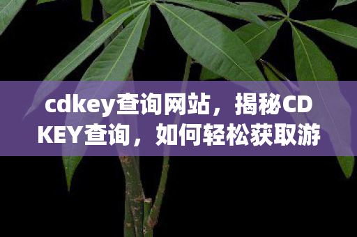 cdkey查询网站，揭秘CDKEY查询，如何轻松获取游戏激活码？