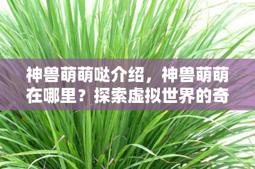 探索虚拟世界的奇妙存在图片