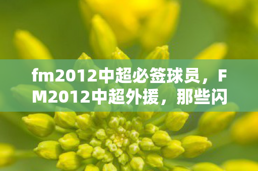 那些闪耀在绿茵场上的国际巨星图片