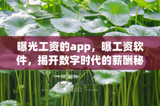 揭开数字时代的薪酬秘密图片