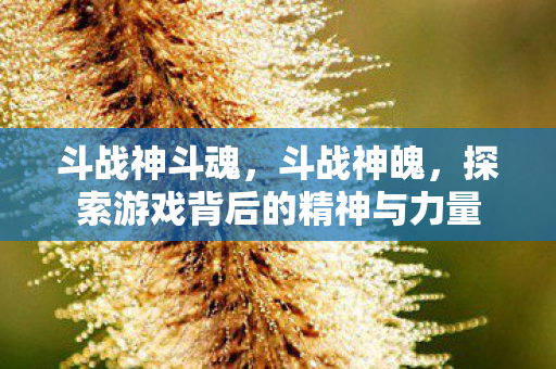 探索游戏背后的精神与力量图片