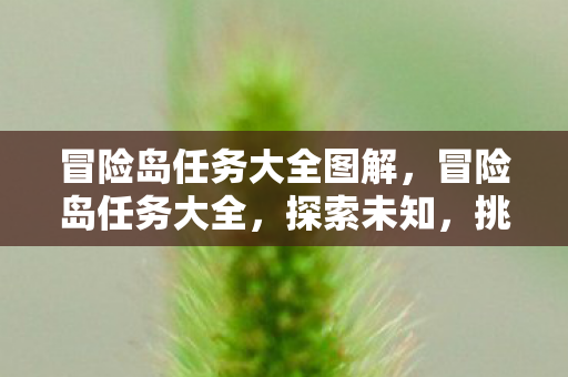冒险岛任务大全图解图片
