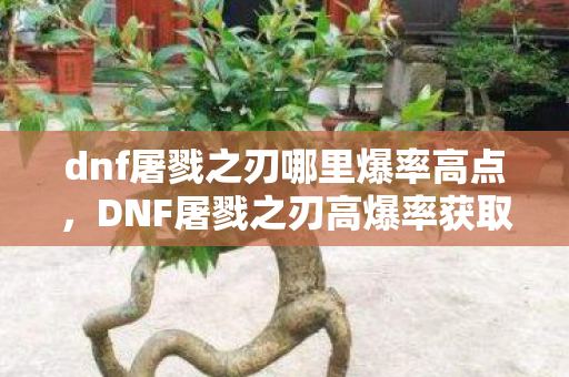 DNF屠戮之刃高爆率获取攻略图片