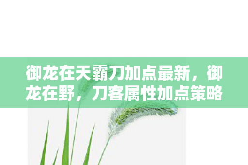 御龙在天霸刀加点最新图片