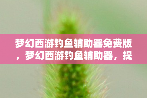 梦幻西游钓鱼辅助器免费版，梦幻西游钓鱼辅助器，提升游戏乐趣的神奇工具