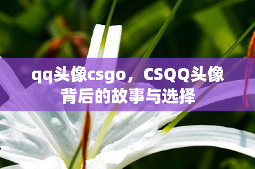 qq头像csgo，CSQQ头像背后的故事与选择