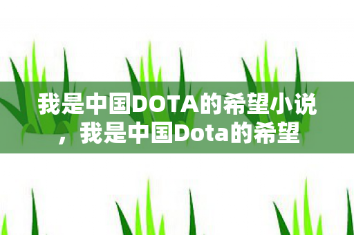 我是中国DOTA的希望小说图片