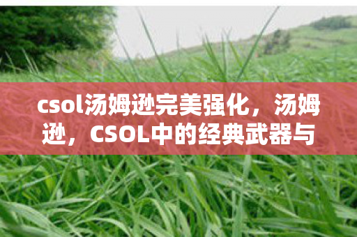 CSOL中的经典武器与游戏文化图片