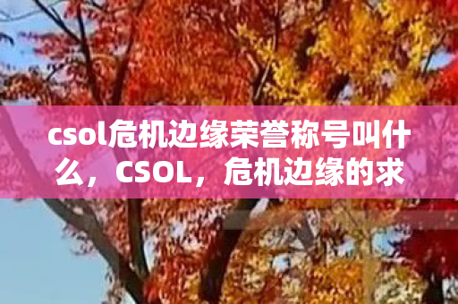 csol危机边缘荣誉称号叫什么图片