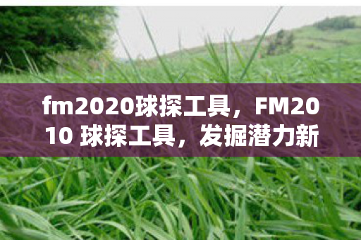 FM2010 球探工具图片
