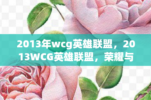 2013年wcg英雄联盟图片