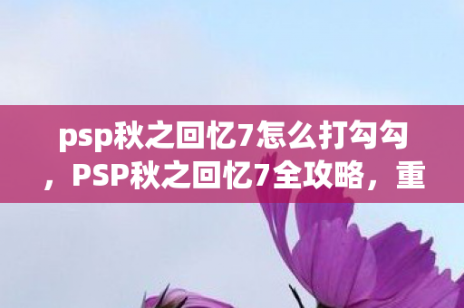 psp秋之回忆7怎么打勾勾，PSP秋之回忆7全攻略，重温经典，解锁浪漫回忆