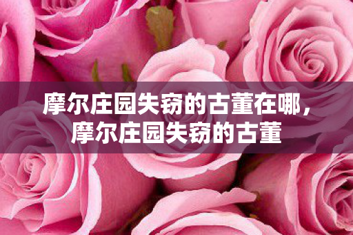 摩尔庄园失窃的古董在哪图片