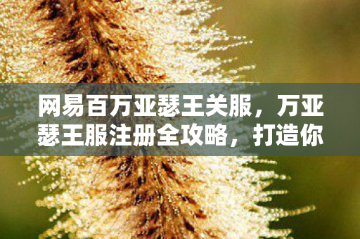 万亚瑟王服注册全攻略图片