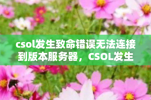 csol发生致命错误无法连接到版本服务器图片