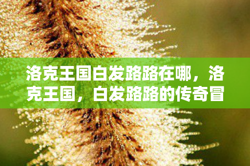 洛克王国白发路路在哪图片