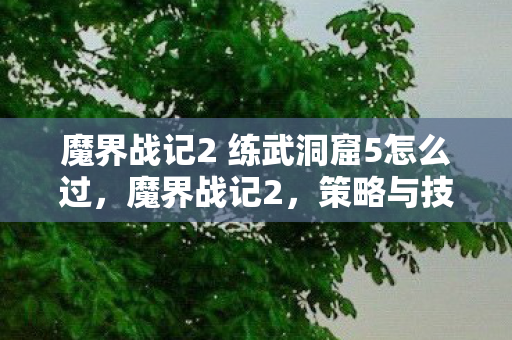 魔界战记2 练武洞窟5怎么过图片