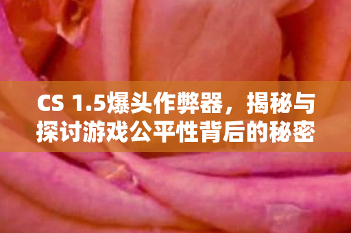 CS 1.5爆头作弊器，揭秘与探讨游戏公平性背后的秘密