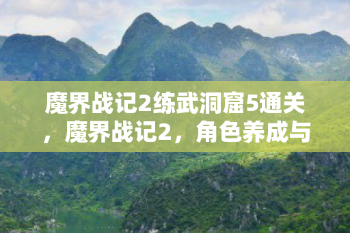 魔界战记2练武洞窟5通关图片