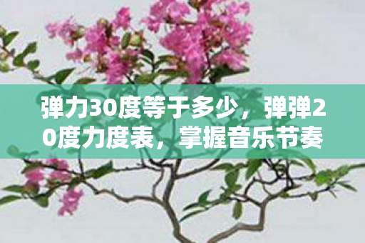 掌握音乐节奏的神秘工具图片