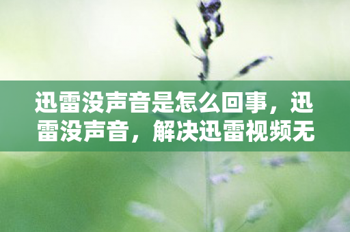 解决迅雷视频无声音问题图片