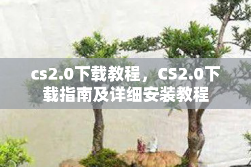 cs2.0下载教程，CS2.0下载指南及详细安装教程