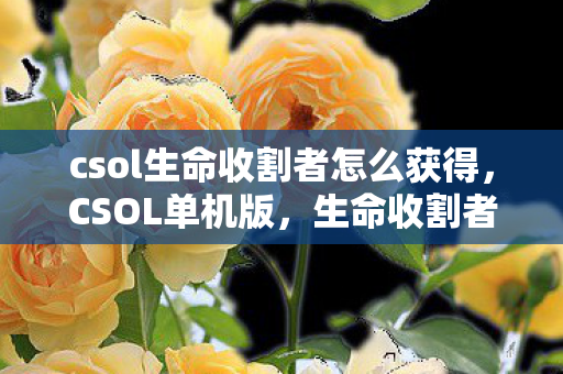 csol生命收割者怎么获得图片