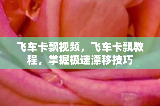 掌握极速漂移技巧图片