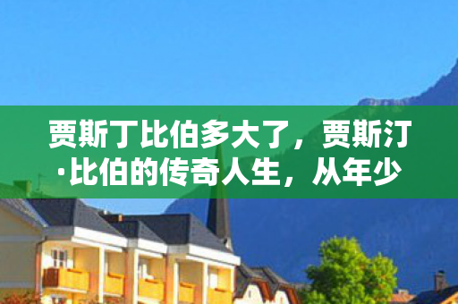 从年少成名到音乐巨星的蜕变图片