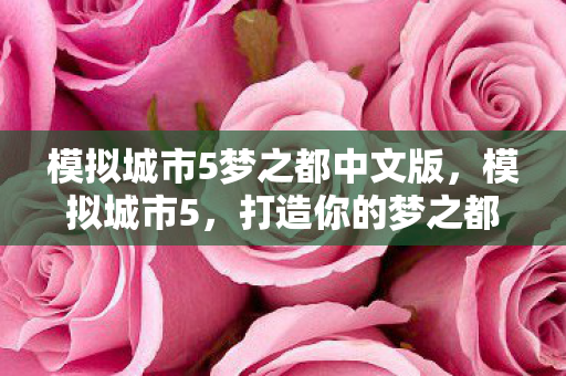 模拟城市5梦之都中文版图片