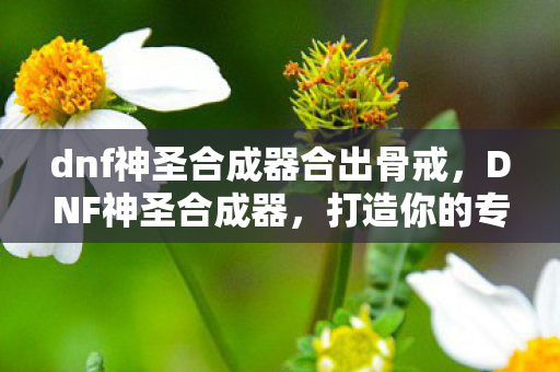 dnf神圣合成器合出骨戒图片