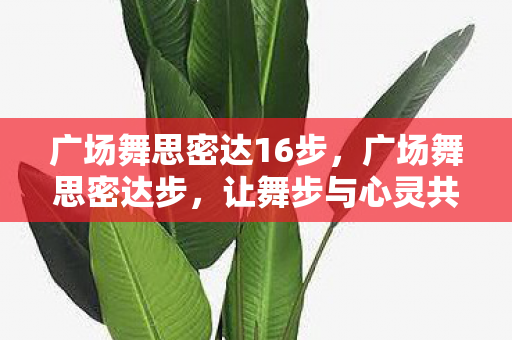 广场舞思密达16步图片