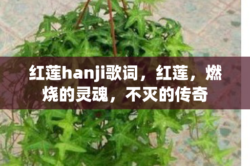 红莲hanji歌词图片