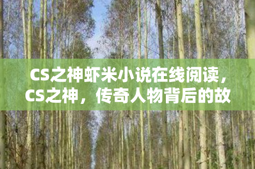 CS之神虾米小说在线阅读，CS之神，传奇人物背后的故事
