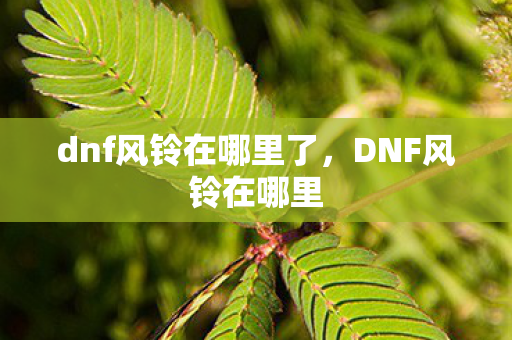 dnf风铃在哪里了图片