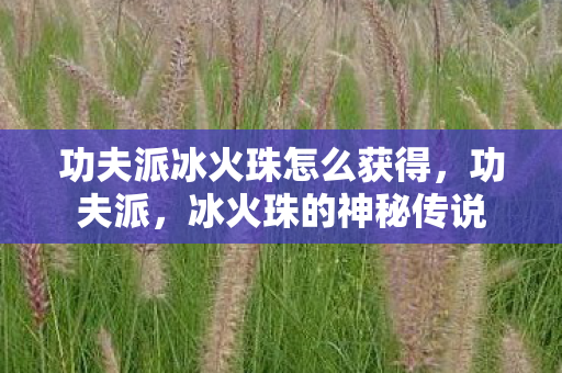 功夫派冰火珠怎么获得图片