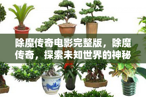 探索未知世界的神秘之旅图片