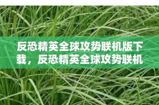 反恐精英全球攻势联机版下载，反恐精英全球攻势联机，游戏魅力与联机体验的全面解析