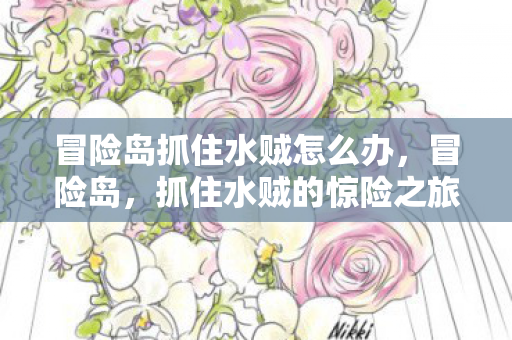 冒险岛抓住水贼怎么办图片