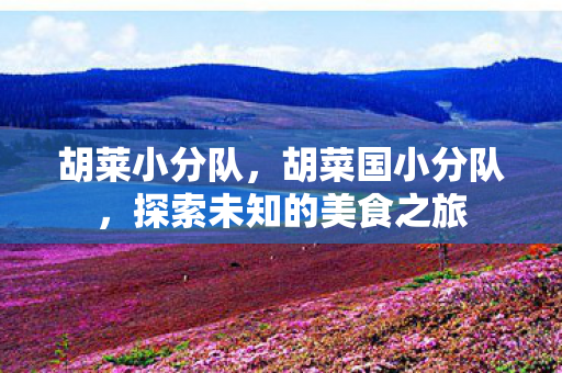 胡莱小分队，胡菜国小分队，探索未知的美食之旅