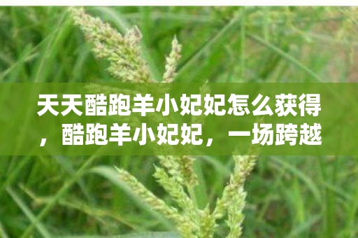 天天酷跑羊小妃妃怎么获得，酷跑羊小妃妃，一场跨越时空的冒险