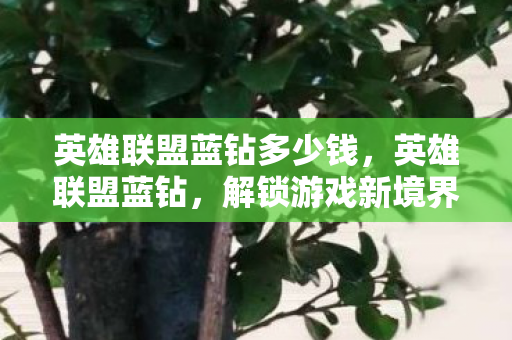 解锁游戏新境界的钥匙图片