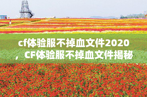cf体验服不掉血文件2020图片