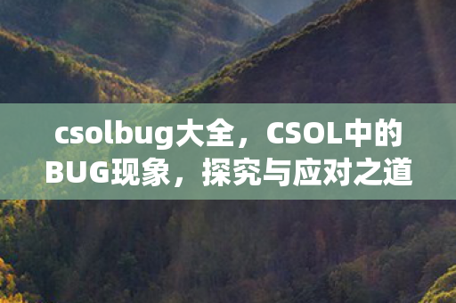 csolbug大全，CSOL中的BUG现象，探究与应对之道