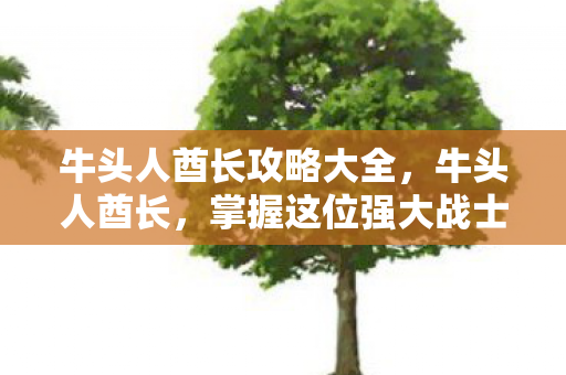 掌握这位强大战士的精髓图片