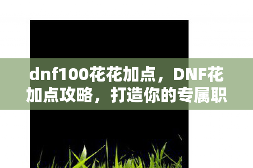 dnf100花花加点图片