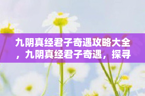 九阴真经君子奇遇攻略大全图片