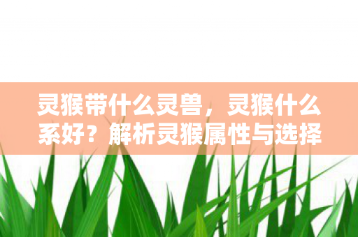 解析灵猴属性与选择策略图片