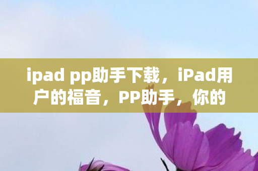ipad pp助手下载图片