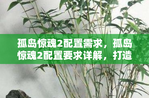 孤岛惊魂2配置要求详解图片